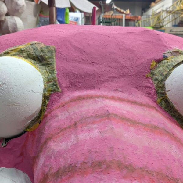 Wè kèkte en waòr kèkte…?!